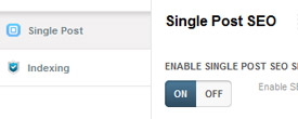 Advanced SEO Options