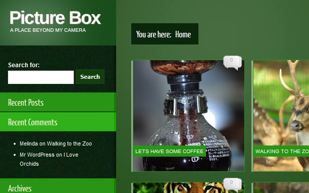 Picture Box - Green