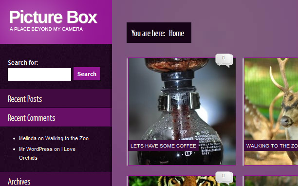 Picture Box - Purple