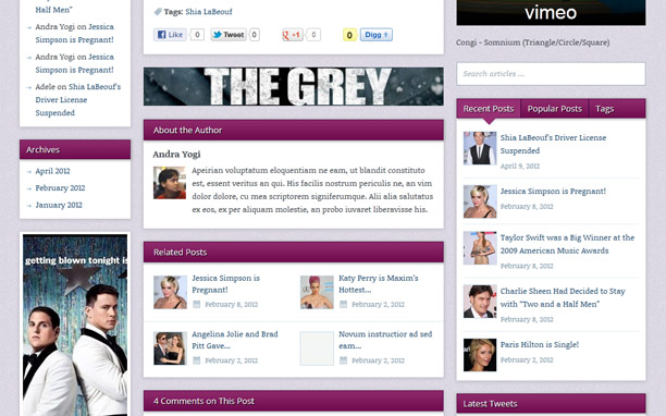 Celebizz - Article Detail Page
