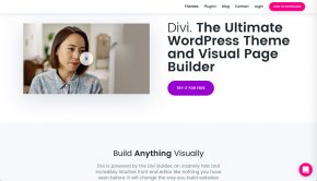 Divi from Elegant Themes