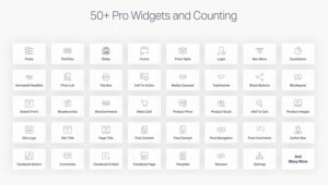 Elementor Pro widgets