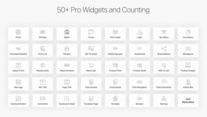 Elementor Pro widgets