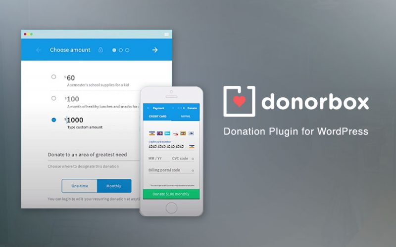 Choosing a Donation Plugin: Donorbox Review