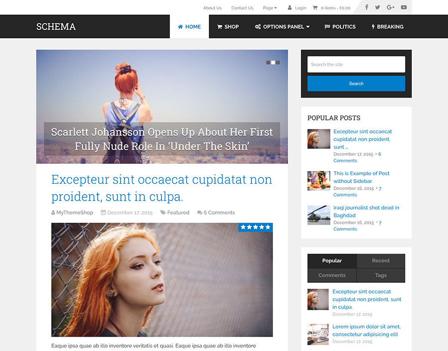 Schema WordPress theme